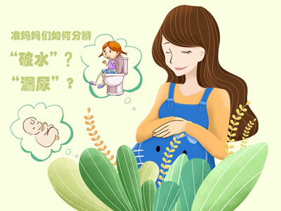 準媽媽們如何分辨“破水”還是“漏尿”？