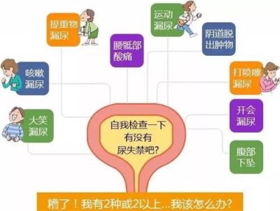 盆底超聲，讓難言之隱不再難查！